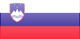 Slovenia Country Flag
