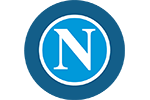 NAP Team Logo