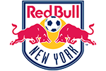 NY Team Logo