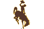 WYO Team Logo